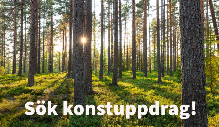 Tallskog Thomas Adolfsen_webb.jpg