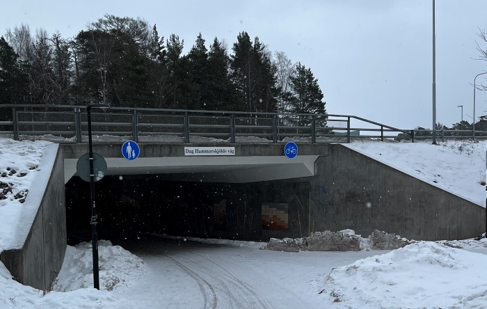 GC Dag H st&aring;ende.jpg